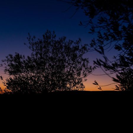 Skyline Eco-Camp Otel Mitzpe Ramon Dış mekan fotoğraf
